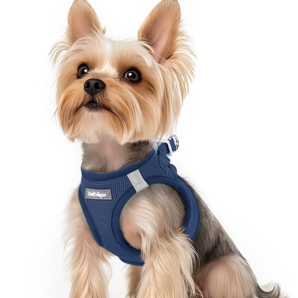 Rabbitgoo small-dog-harness step-in vest for quick wearing and comfort.
