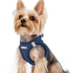 Rabbitgoo small-dog-harness step-in vest for quick wearing and comfort.