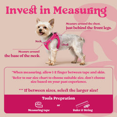 Soft air mesh Rabbitgoo harness provides breathable comfort during walks