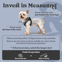 Rabbitgoo soft air mesh fabric keeps tiny dogs comfortable and cool.