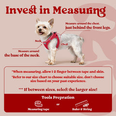 Rabbitgoo soft air mesh harness keeps your pup cool and comfortable