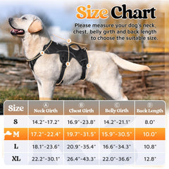 Rabbitgoo soft padded air mesh harness keeps large dogs comfortable on long outings