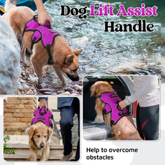 Rabbitgoo soft padded air mesh harness provides comfortable all-day wear.