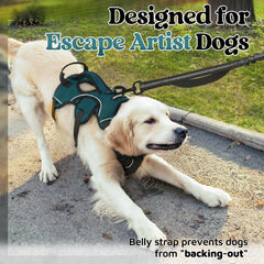 Rabbitgoo soft padded harness close-up showing comfortable neck and chest padding.