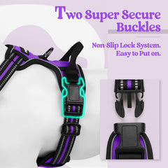 Rabbitgoo padded nylon harness providing comfortable fit for long outings.