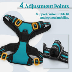 Rabbitgoo soft cushion padding protects skin during walks