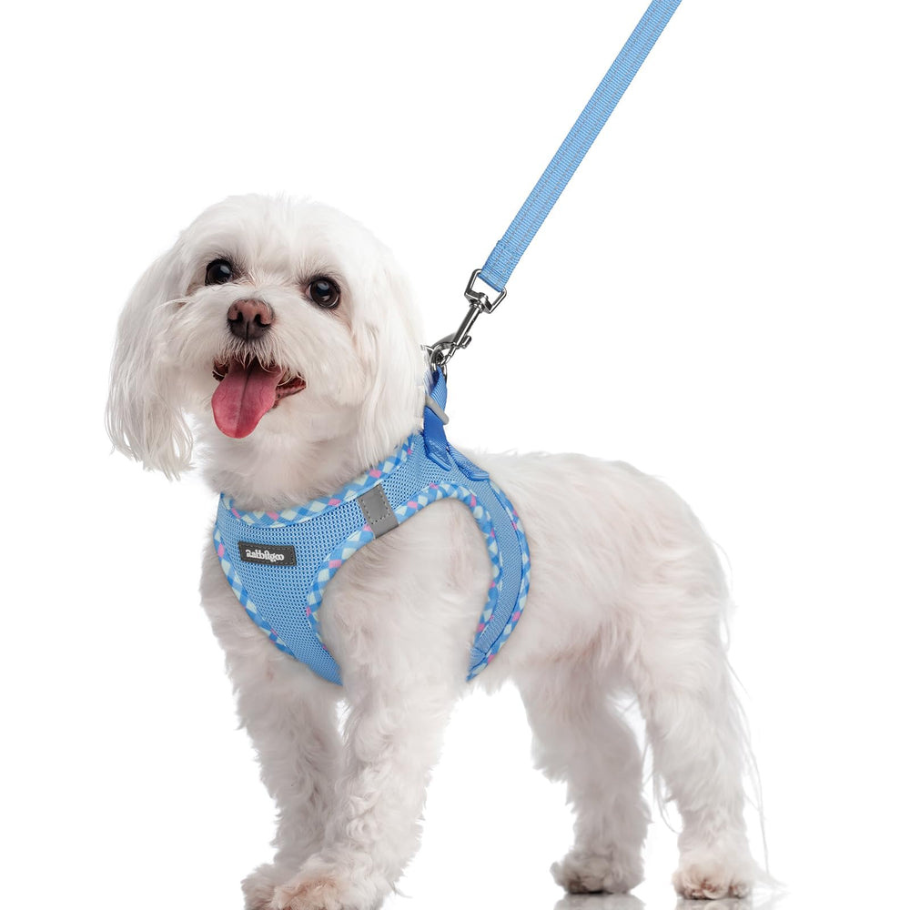 Rabbitgoo step-in harness blue plaid, easy to fit and comfortable for small dogs.