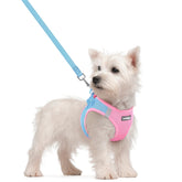 Rabbitgoo step-in harness in blue for quick secure on-off wearing