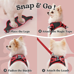 Rabbitgoo step-in harness with quick buckle for easy on-the-go fit.