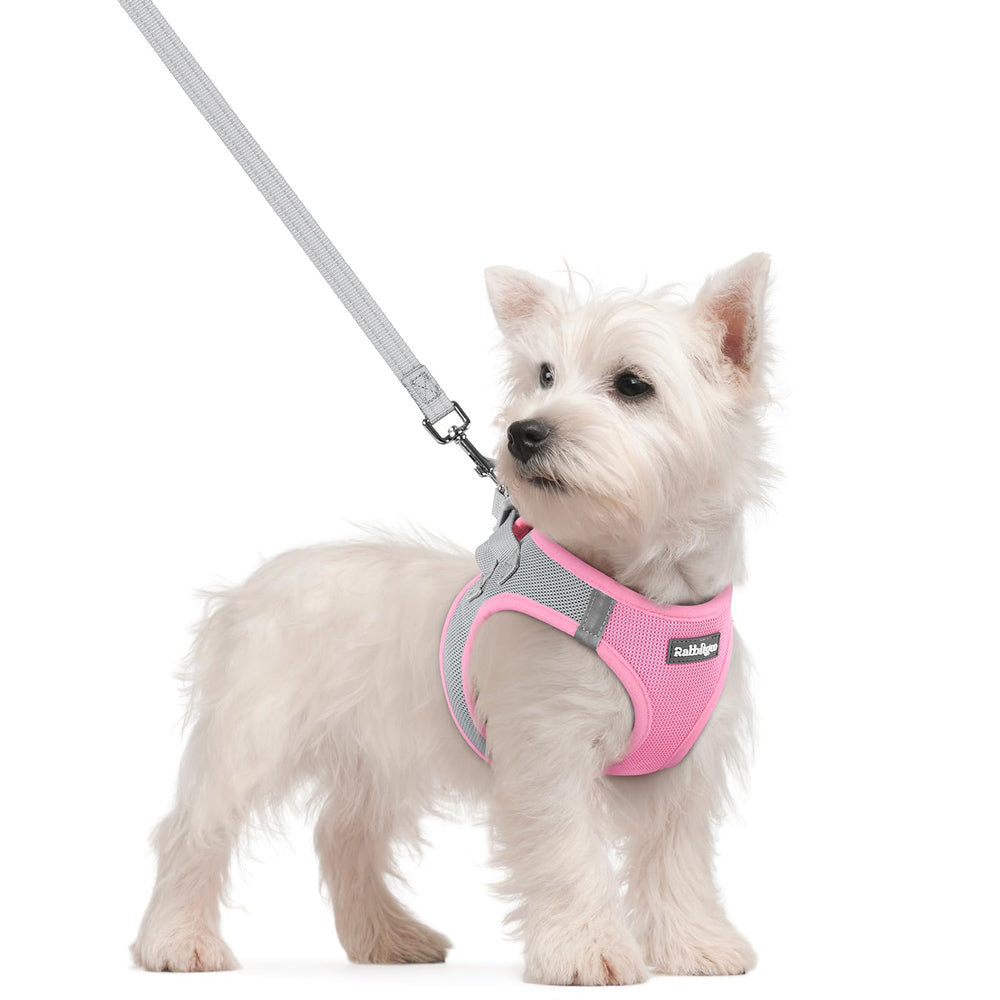 Rabbitgoo step in harness for small dogs in pink and gray aids easy on off