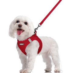 Rabbitgoo Step-In Harness Small Red for quick, comfortable on-walk fitting.