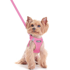 Rabbitgoo step-in harness XXS vest shown for easy on-boarding.