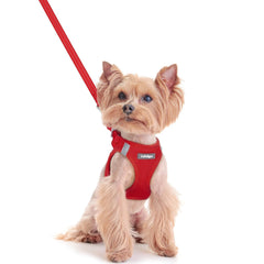 Rabbitgoo step-in XXS harness ready for easy on-boarding during daily walks.