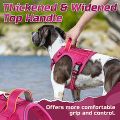 Rabbitgoo harness back clip showing control during leash walks and training.