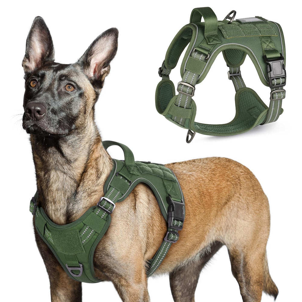 Rabbitgoo tactical dog harness full exterior view for large breeds, showcasing sturdy construction.