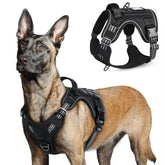 Rabbitgoo tactical dog harness worn on a large dog for secure, comfortable training sessions.