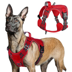 Rabbitgoo Tactical Dog Harness front view showing adjustable fit for large breeds.