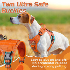 Rabbitgoo harness front clip in orange aids no-pull training outdoors
