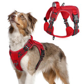 Rabbitgoo tactical dog harness medium chest strap for secure training and walking
