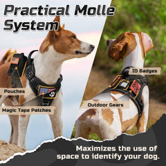 Rabbitgoo harness with reflective trim for better nighttime visibility and safety.