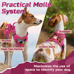 Rabbitgoo harness side adjustment highlights customizable fit for large breeds.