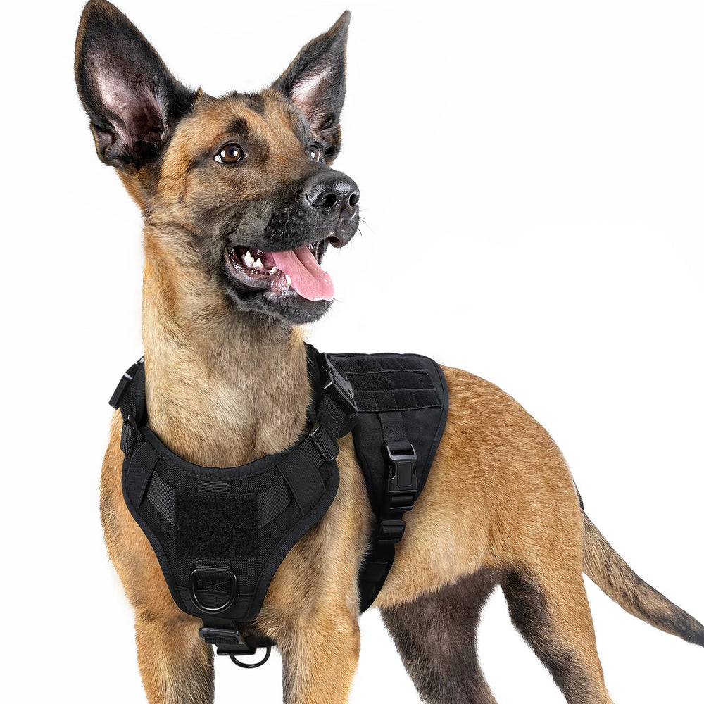 Rabbitgoo tactical dog harness front view for small breeds with secure fit