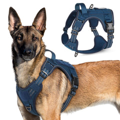 Rabbitgoo tactical harness blue XL front view showing secure fit for training