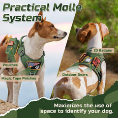 Rabbitgoo MOLLE panels on harness sides for pouches and gear.