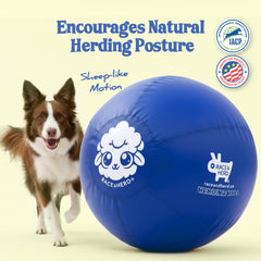 Race&Herd durable blue ball supports energetic play and positive training.