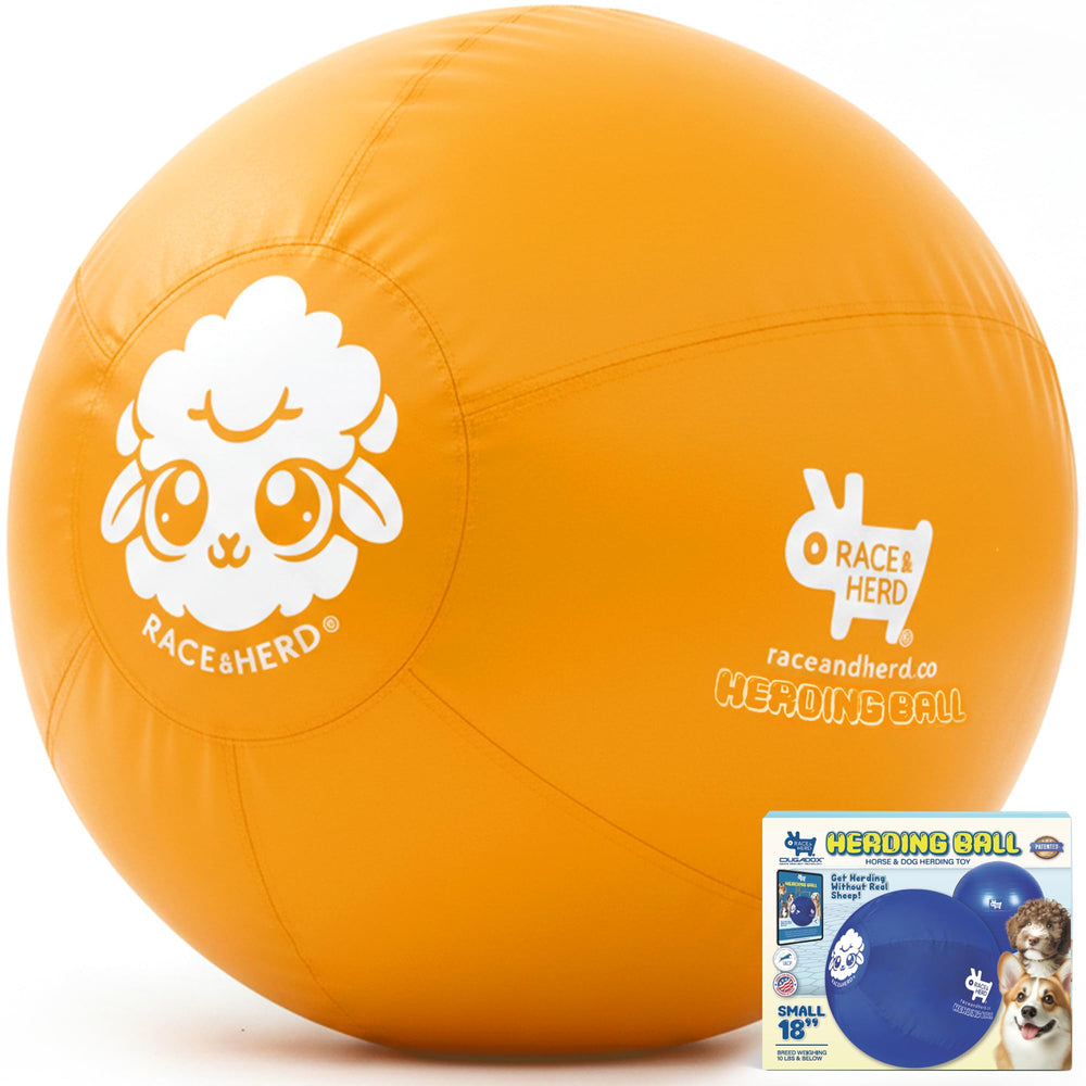 Race&Herd XXL Herding Ball front view for outdoor play.