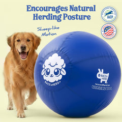 Race&Herd 30-inch XXL herding ball in blue, in motion during play