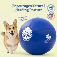 Race&Herd XXL durable rubber dog ball closeup showing chew-resistant construction for tough dogs