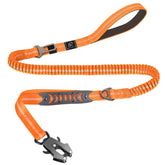 Raipult frog-clip leash shows 360° rotation for secure daily walks