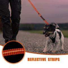Raipult leash with reflective threads for night visibility