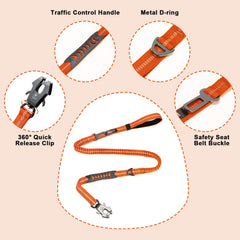 Raipult leash with two handles for comfortable walking and training