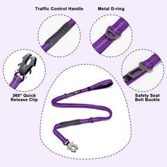 Raipult elastic bungee dog leash demonstrating stretch to absorb sudden pulls.