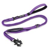 Raipult shock-absorbing leash clip with aviation aluminum carabiner for secure daily walks.