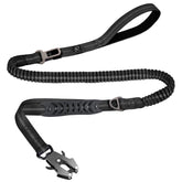 Raipult frog clip on tactical leash; secure 360° rotation for tangle-free walks.