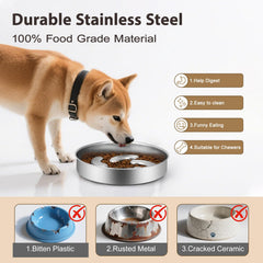 Ralory slow feeder bowl shows non-slip base for mess-free dining