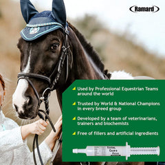 Ramard Total Calm and Focus training scene showing a calm horse and attentive rider