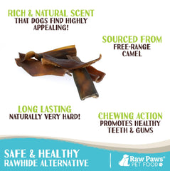 Raw Paws Camel Skin Chews close-up highlighting natural dental care during chewing.