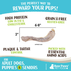 Freeze-dried duck necks arranged for a cozy treat setup with Raw Paws.