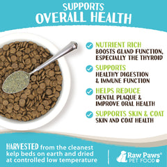 Raw Paws kelp powder texture closeup—organic seaweed with nutrient richness.
