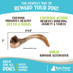 Raw Paws Lamb Horns for Dogs rawhide alternative supports safe chewing.