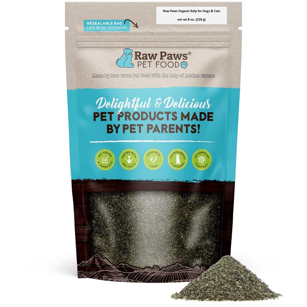 Raw Paws organic kelp powder bottle label—natural mineral boost for pets.