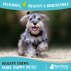 Raw Paws grain-free rabbit treats are perfect training rewards for dogs