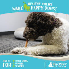 Raw Paws single-ingredient dog chews—all-natural beef sticks for safe chewing.