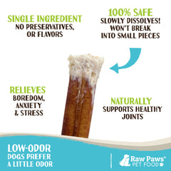 Raw Paws Thin Bully Sticks close-up; low-odor, single-ingredient chew