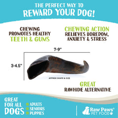Free-range cattle origin Raw Paws buffalo horn chew.