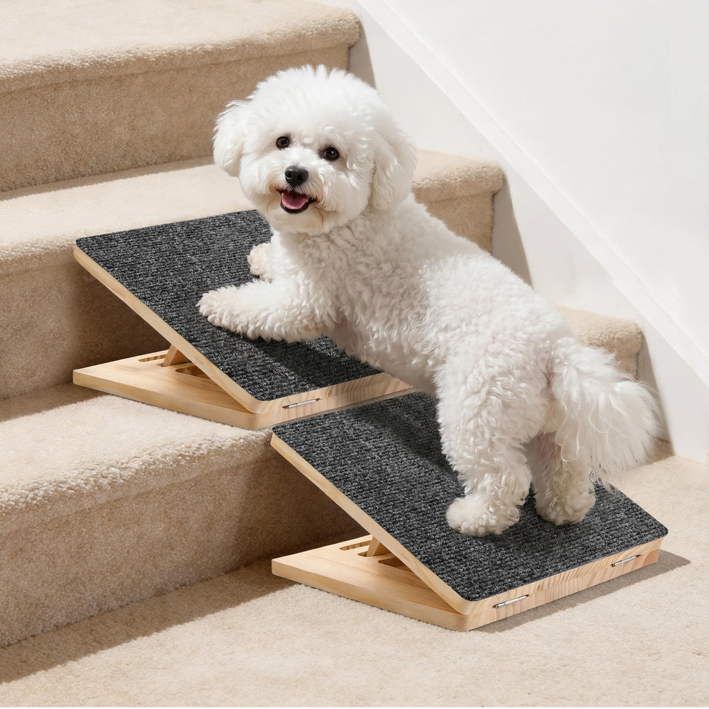 Rayki dog ramp stairs 2-pack enables easy climbs for small dogs at home.